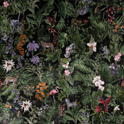 IKON gallery detail image