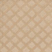 Mesh | Textured Premium SDN gallery detail image