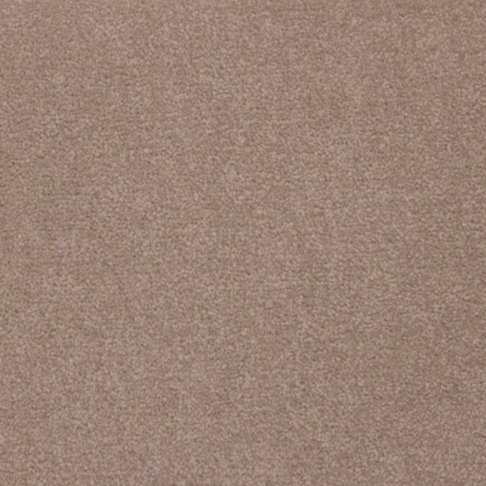 Divino gallery detail image