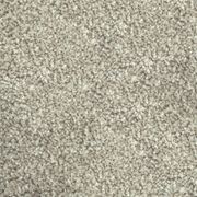 Forest Grove by Belgotex | Carpet gallery detail image