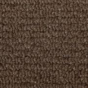 Natural Terrain Carpet gallery detail image