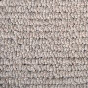 Natural Terrain Carpet gallery detail image