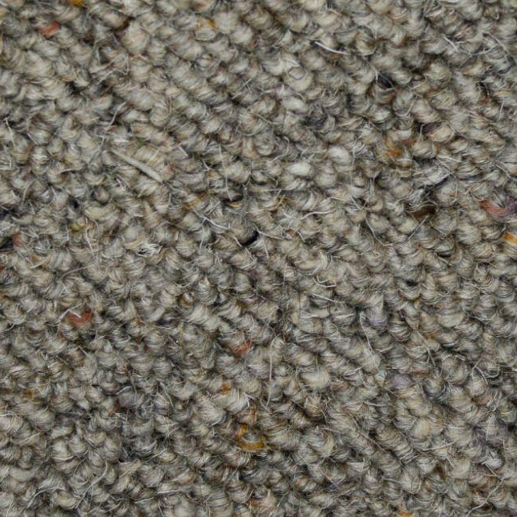 Ecodure Wool Carpet | Soft Flooring gallery detail image