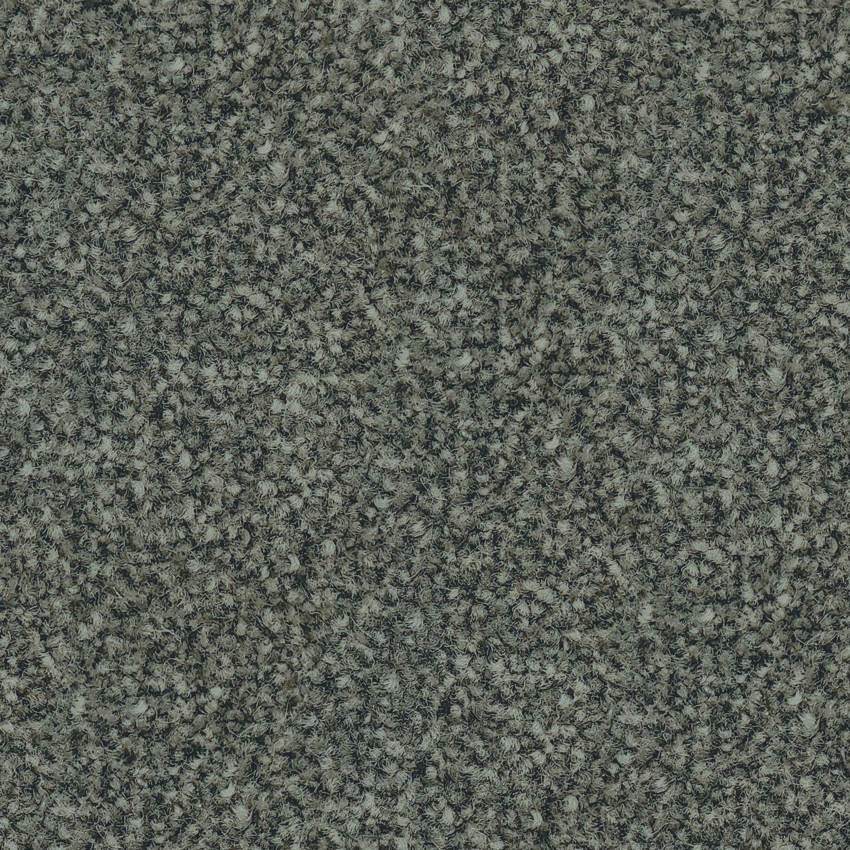 Parkview Gardens by Belgotex | Carpet gallery detail image