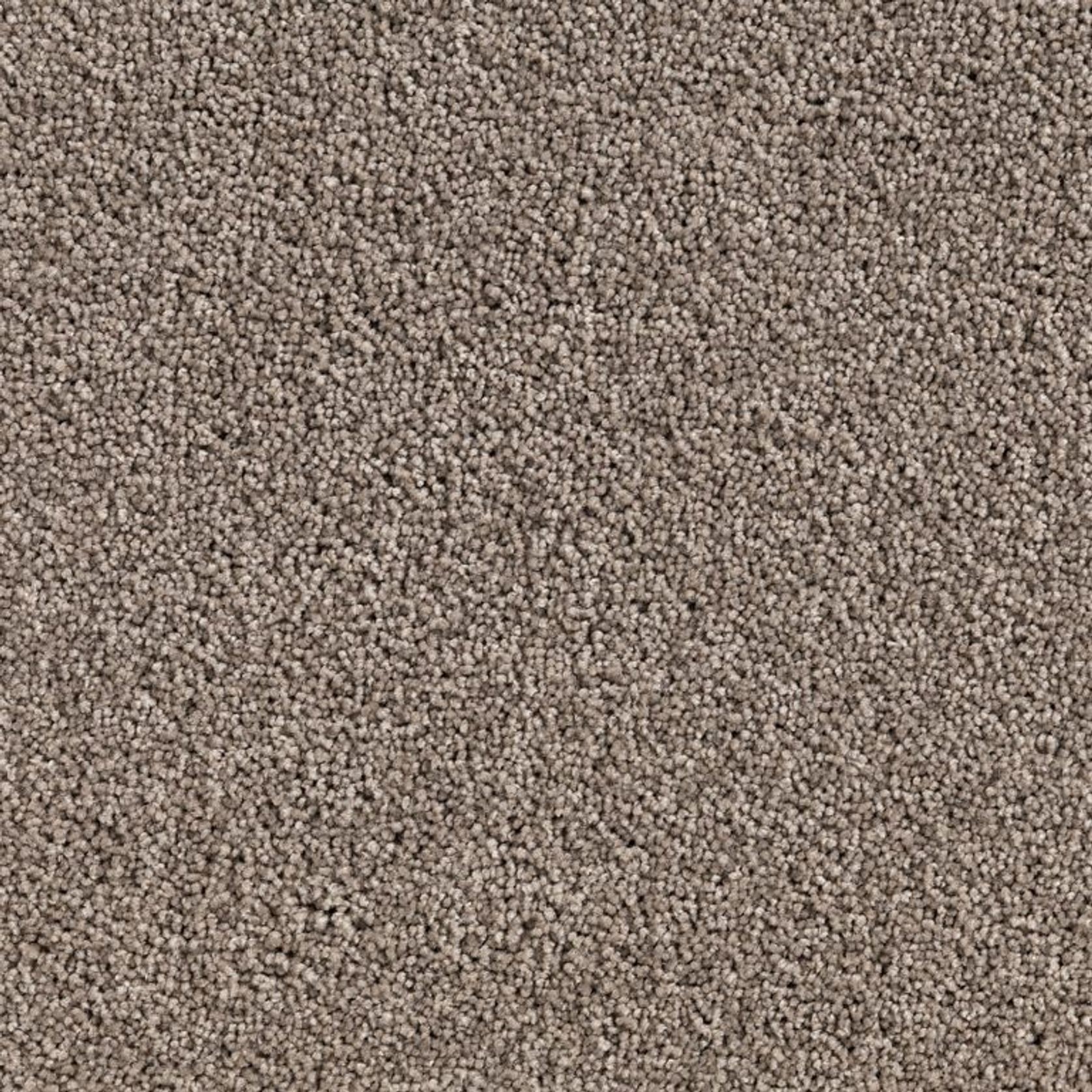 Santa Clara gallery detail image