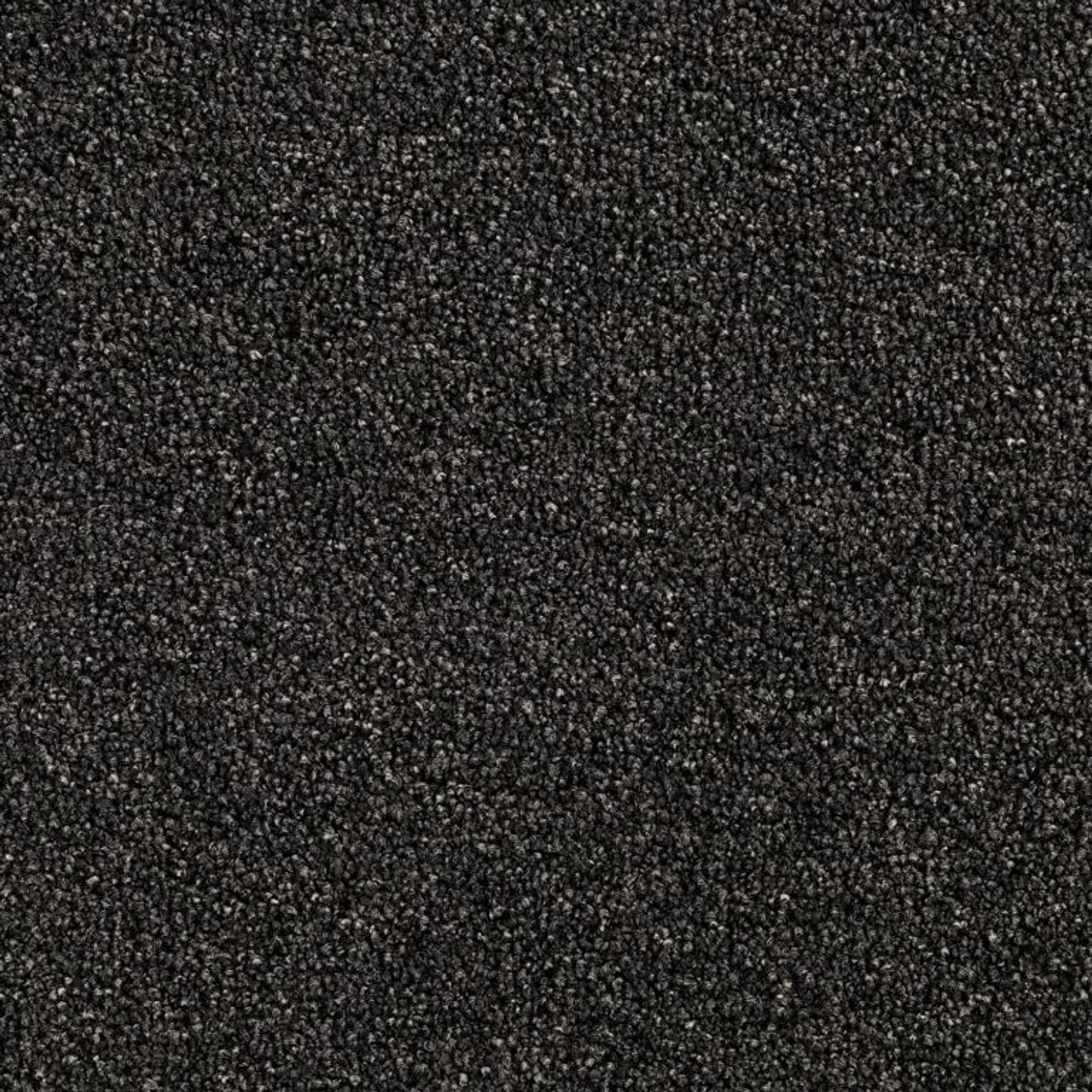 Santa Clara gallery detail image
