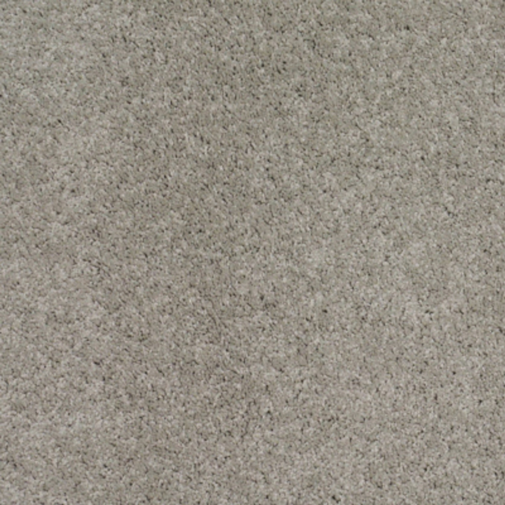 Santa Clara gallery detail image