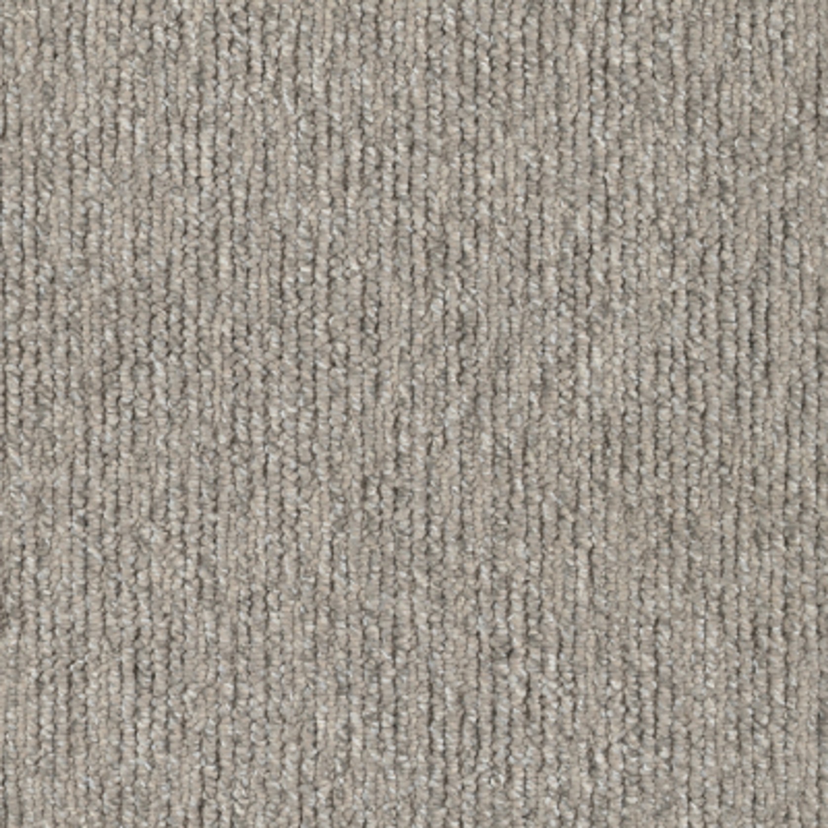 Sandune gallery detail image