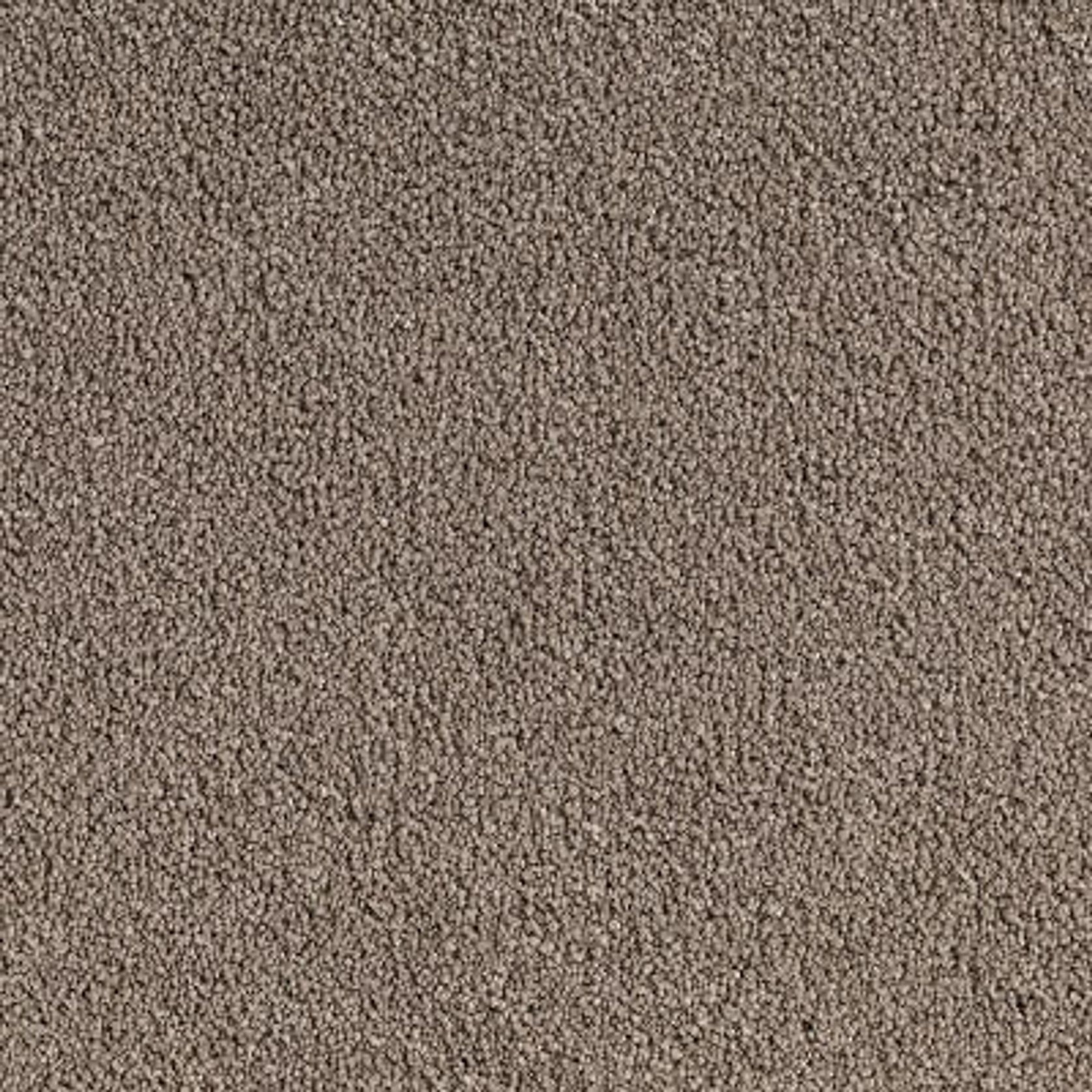 Midas Touch gallery detail image