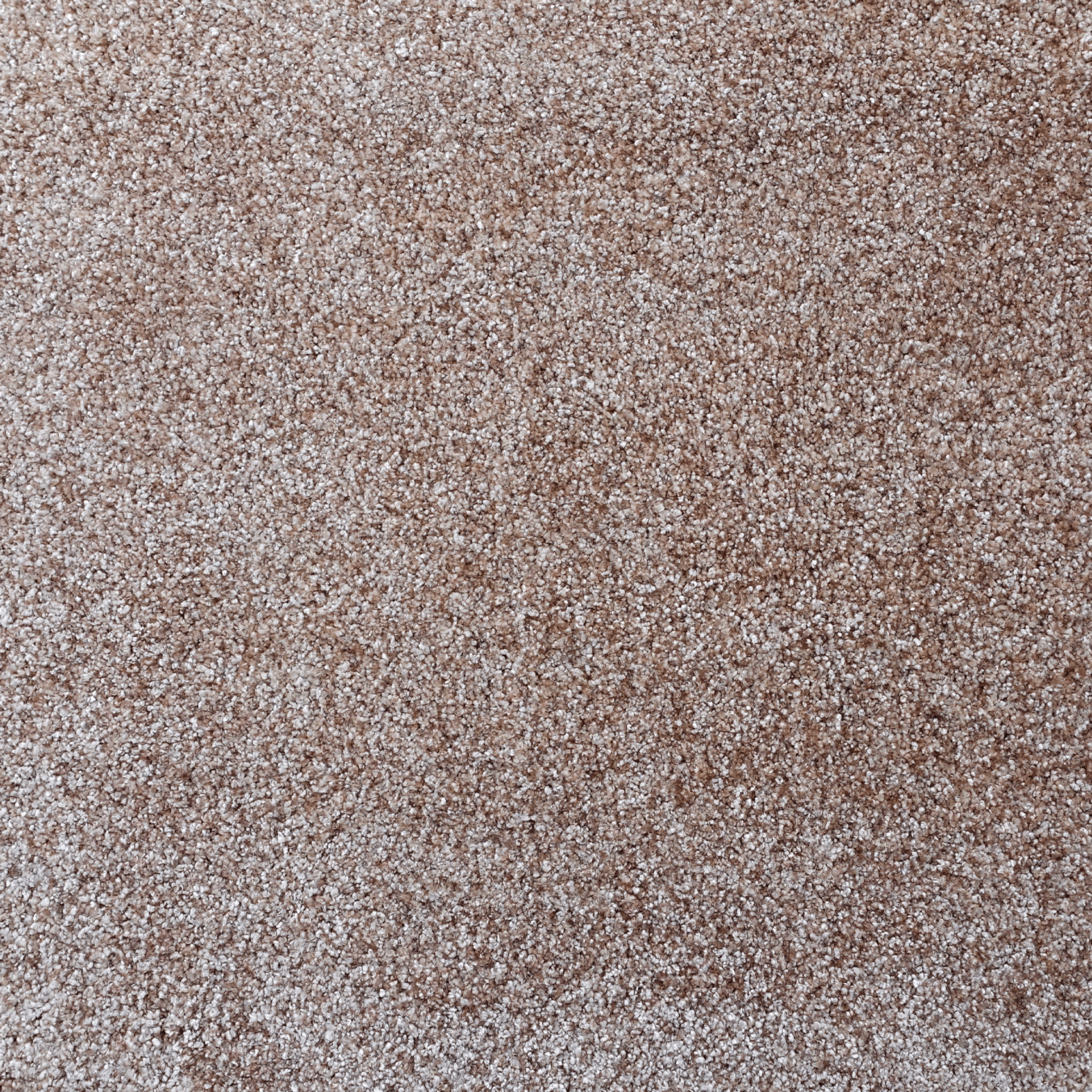 Forme gallery detail image