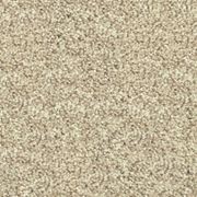 Parkview Gardens by Belgotex | Carpet gallery detail image