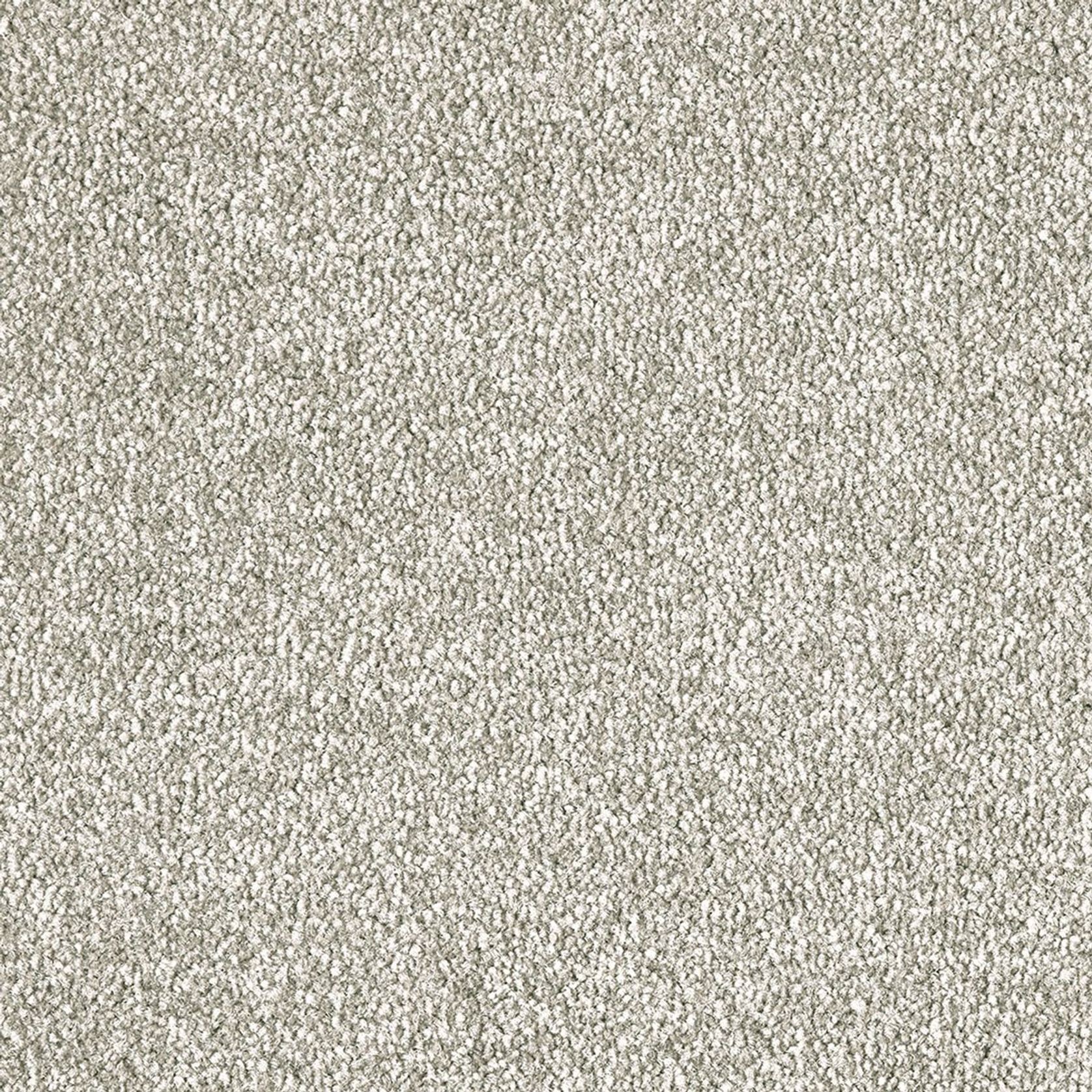 Westminster | Premium SDN gallery detail image