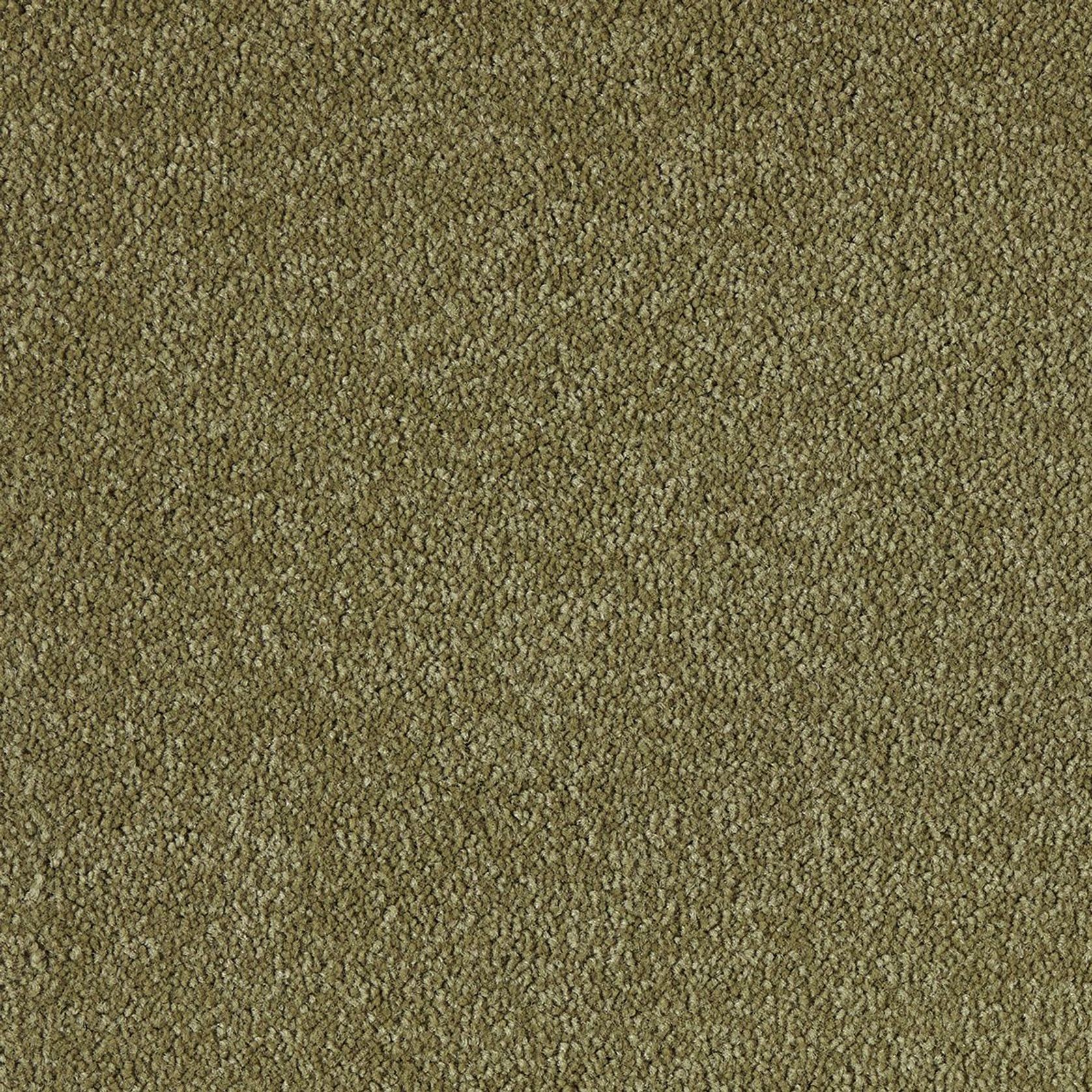 Westminster | Premium SDN gallery detail image