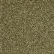 Westminster | Premium SDN gallery detail image