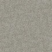 Westminster | Premium SDN gallery detail image