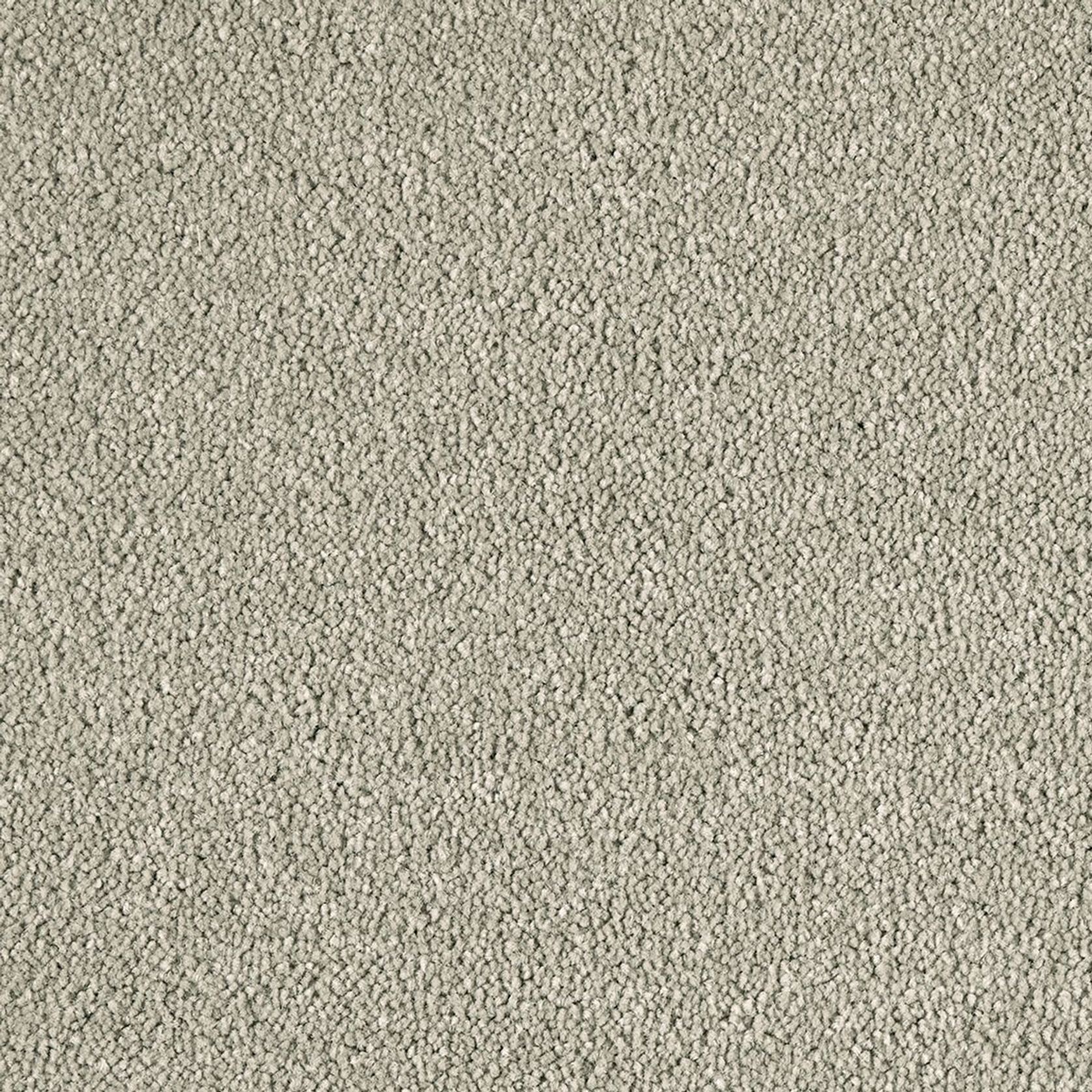 Westminster | Premium SDN gallery detail image