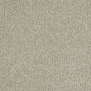 Westminster | Premium SDN gallery detail image