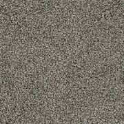 Westminster | Premium SDN gallery detail image