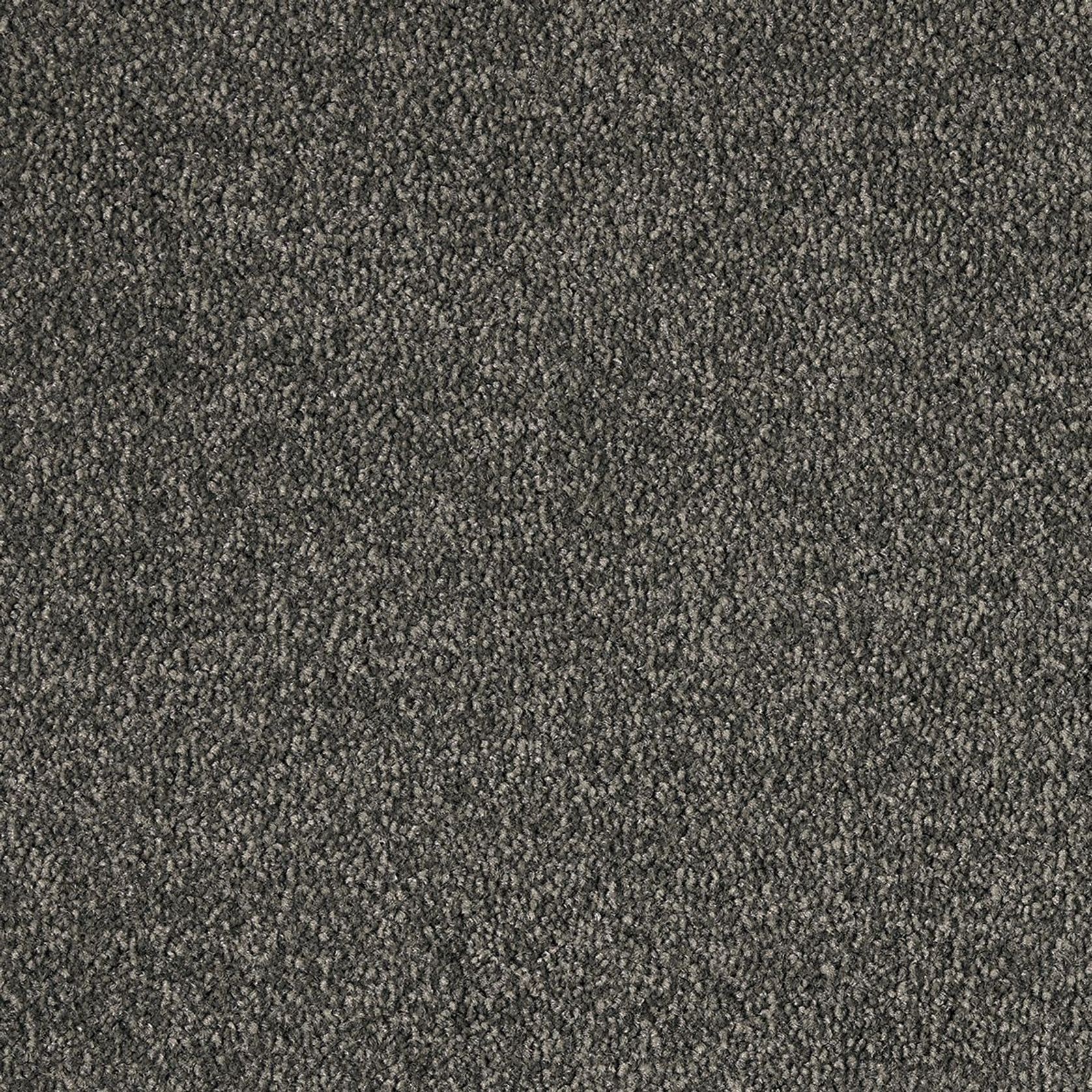 Westminster | Premium SDN gallery detail image