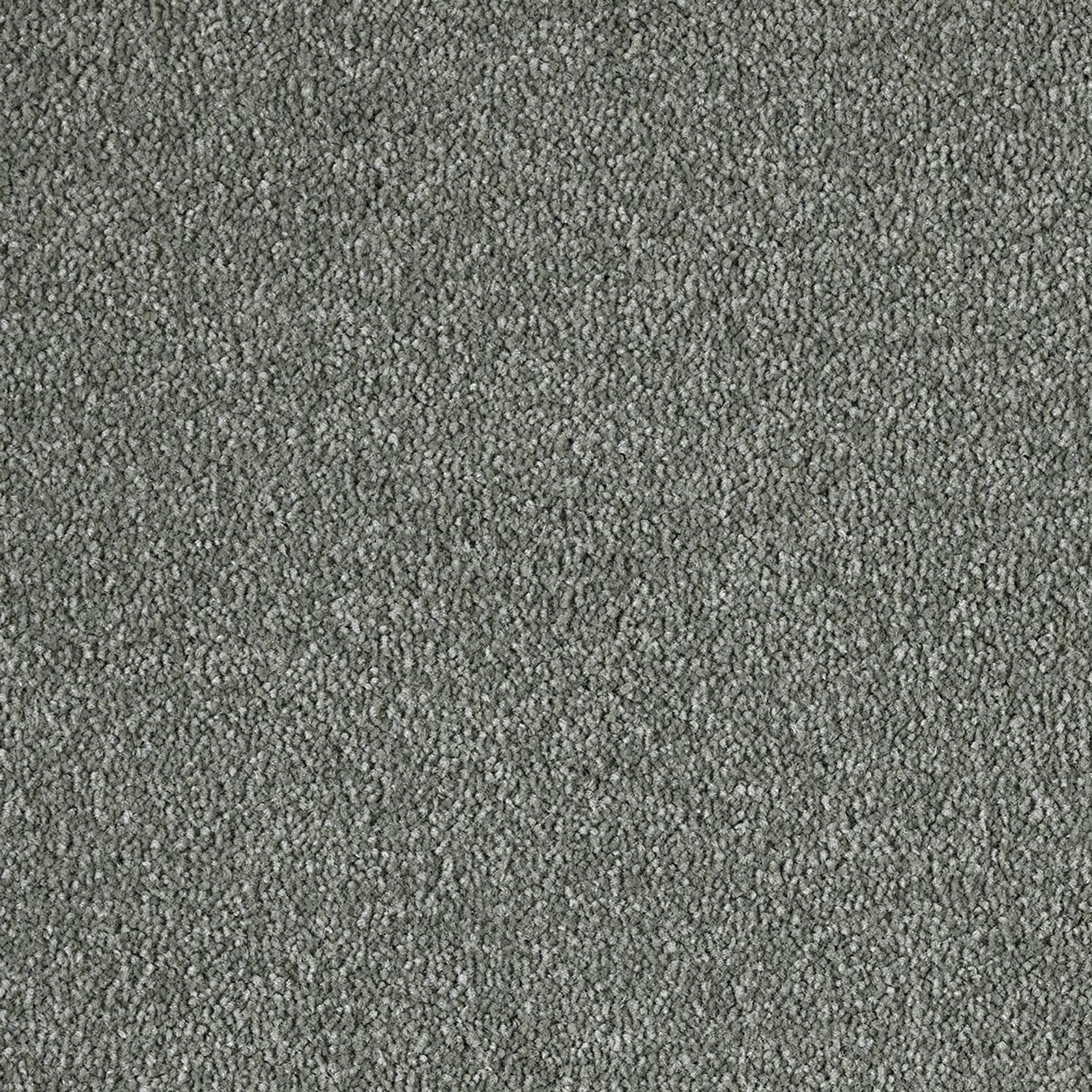 Westminster | Premium SDN gallery detail image