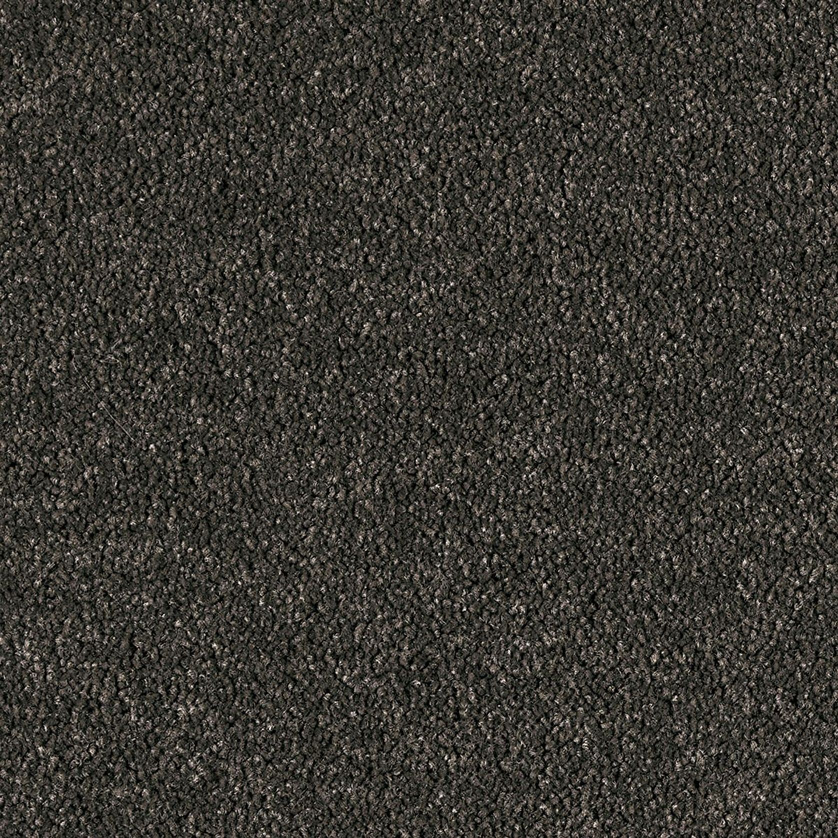 Westminster | Premium SDN gallery detail image