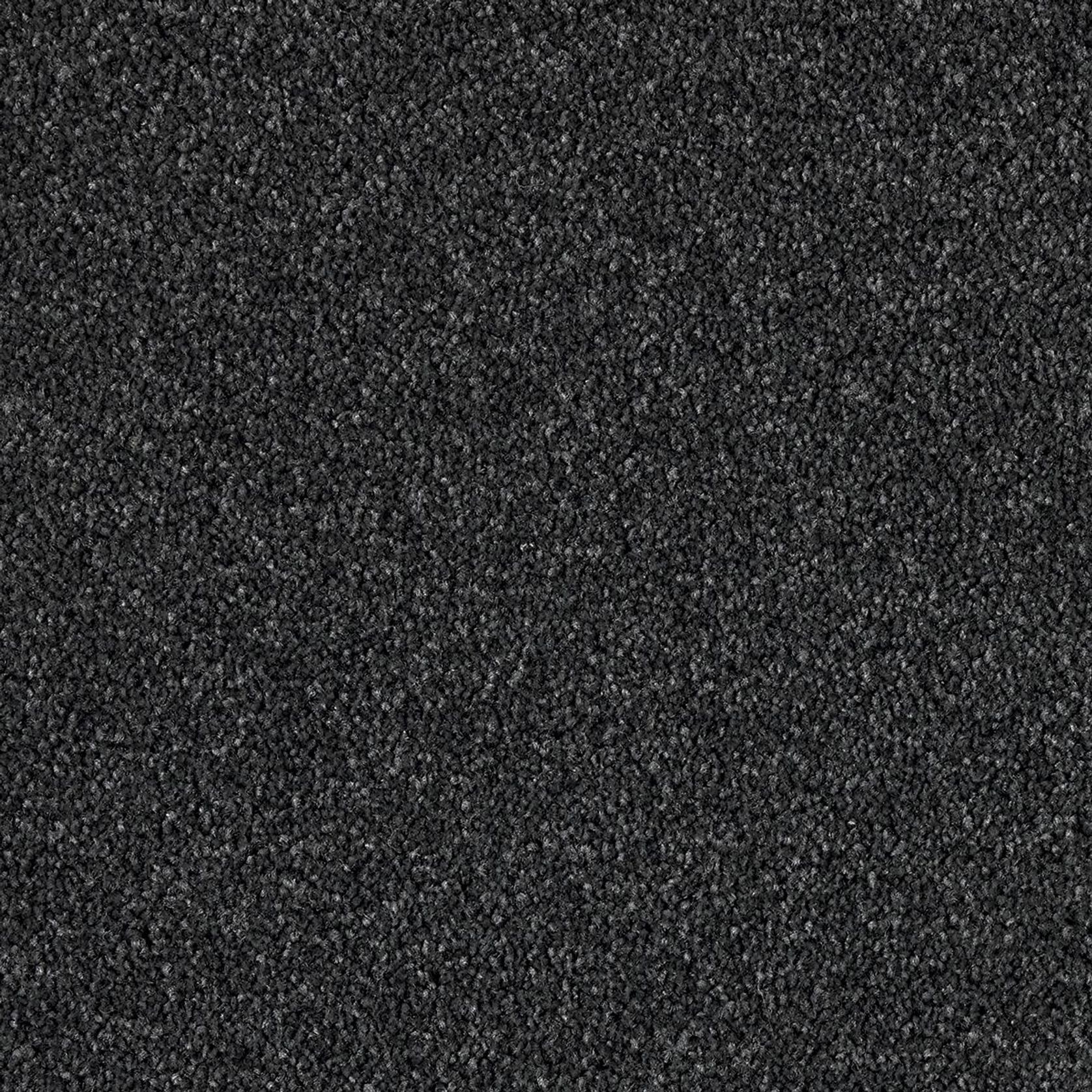 Westminster | Premium SDN gallery detail image