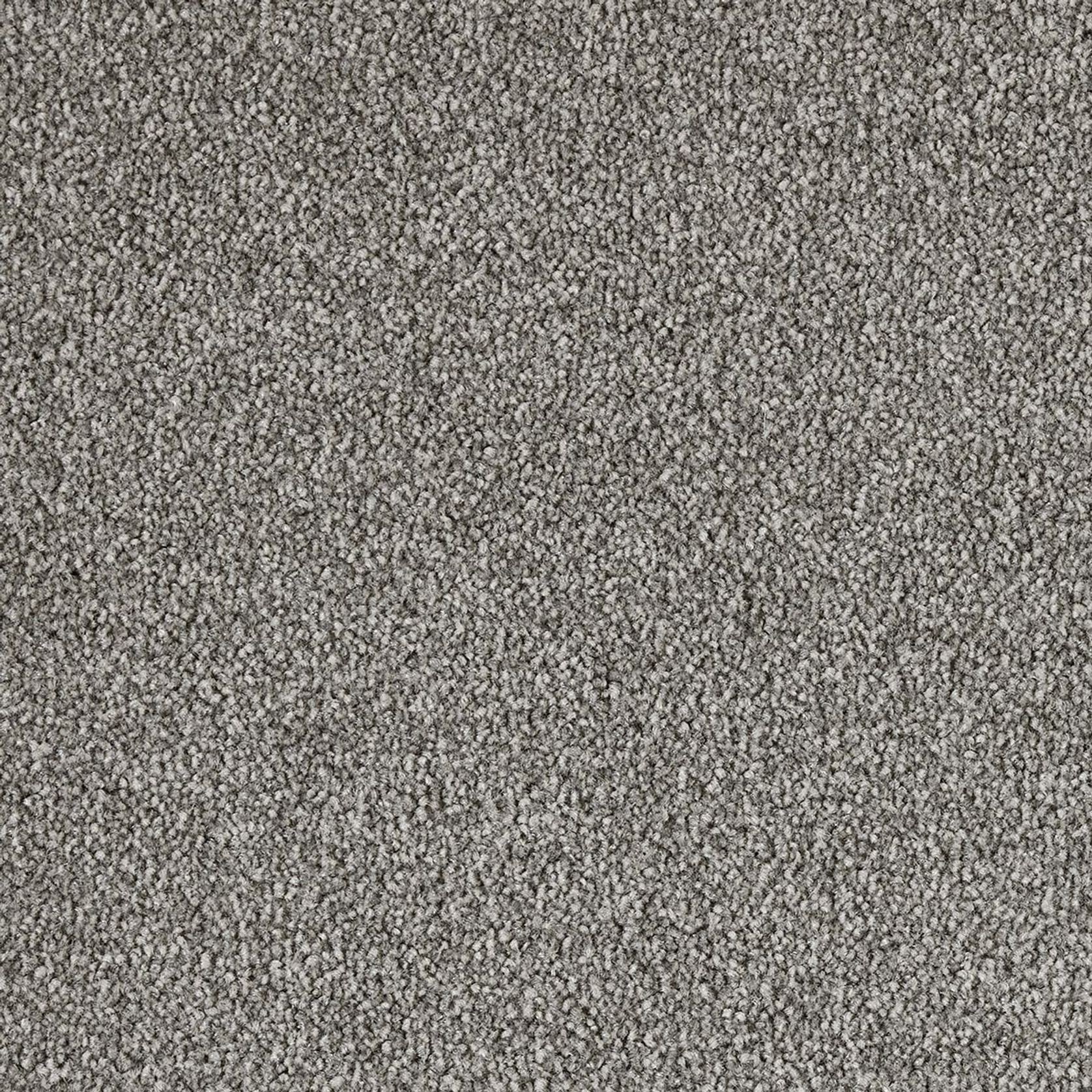 Westminster | Premium SDN gallery detail image