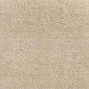 Willingdon gallery detail image