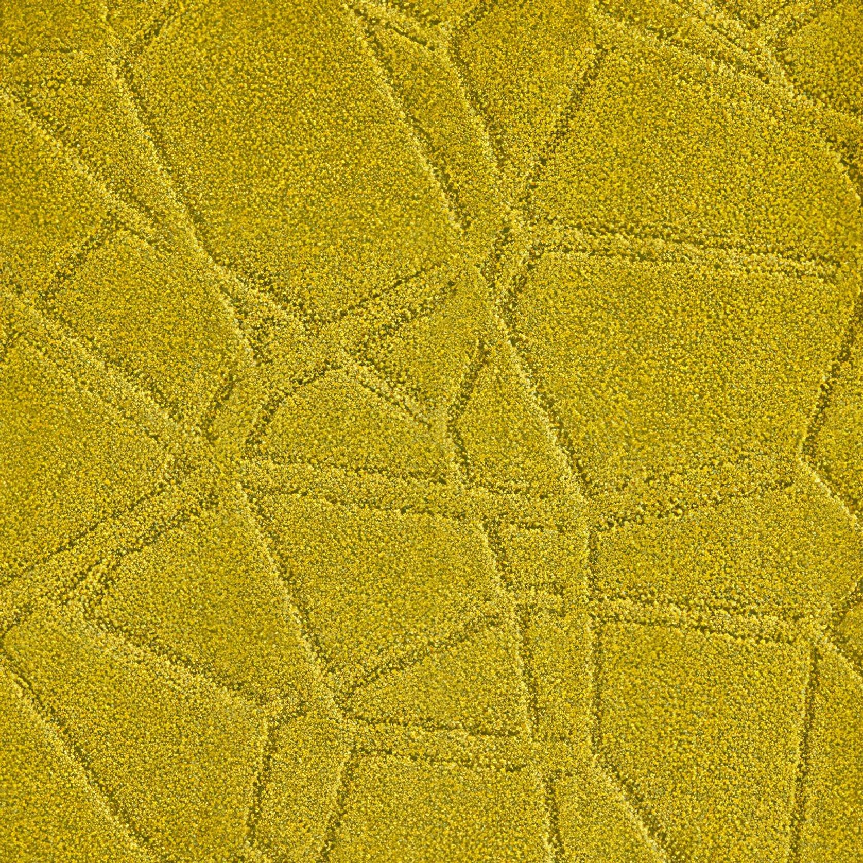 Aqua | Textured Premium SDN gallery detail image