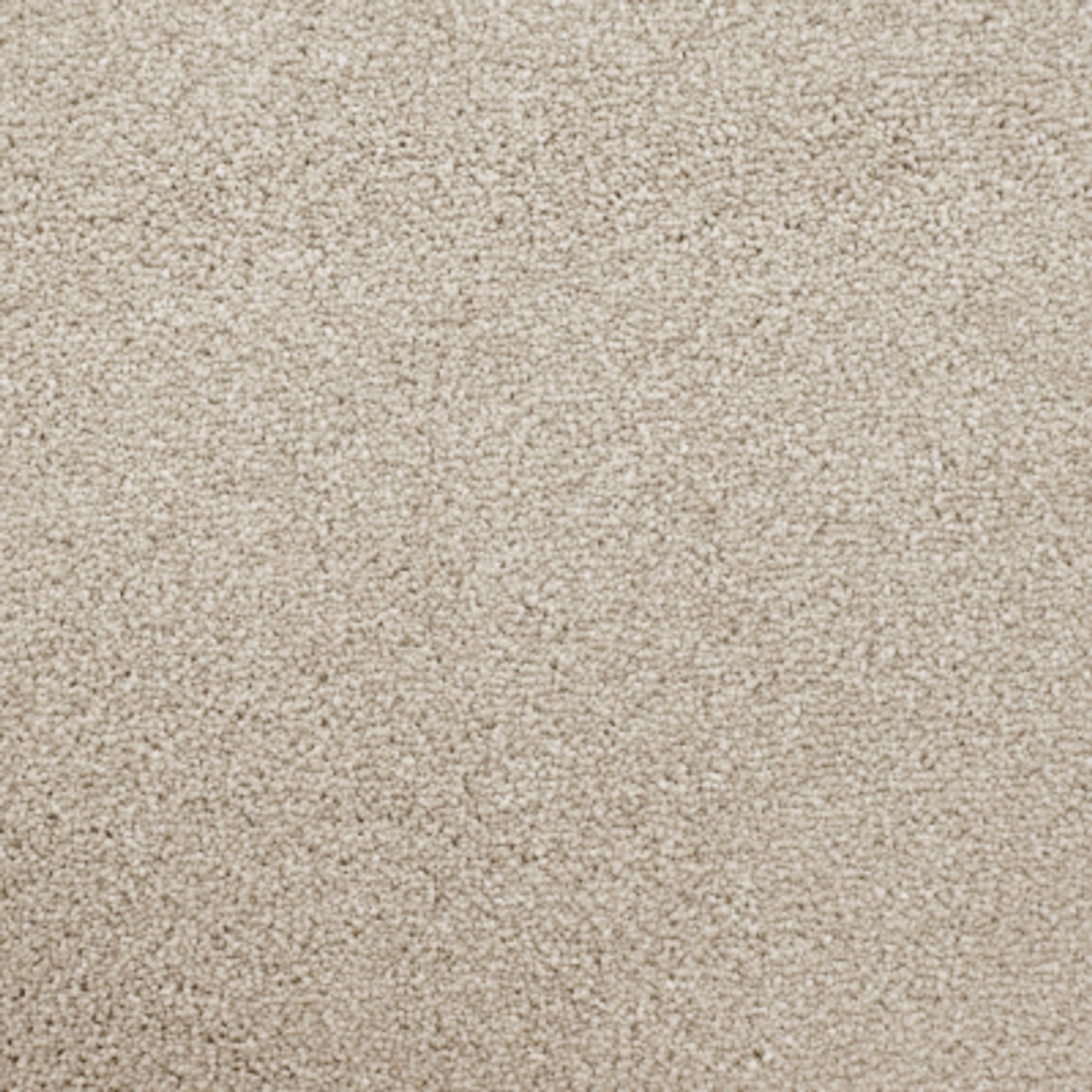 Rocky Plain gallery detail image