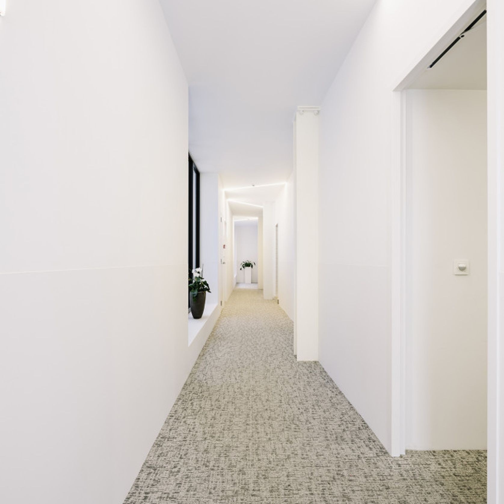 DSGN Absolute:DSGN Collection carpet tiles by modulyss® gallery detail image