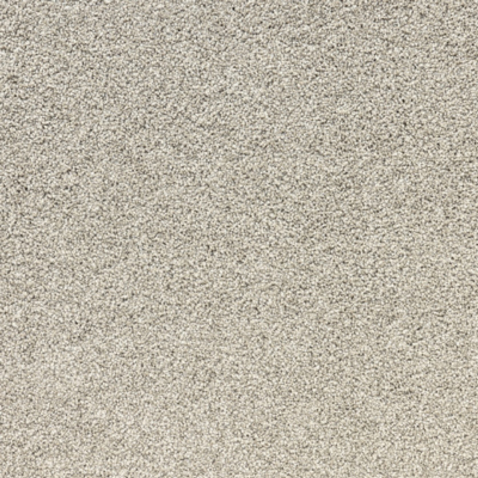 Taroom gallery detail image