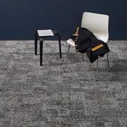 Pageantry Carpet from Bentley Mills gallery detail image