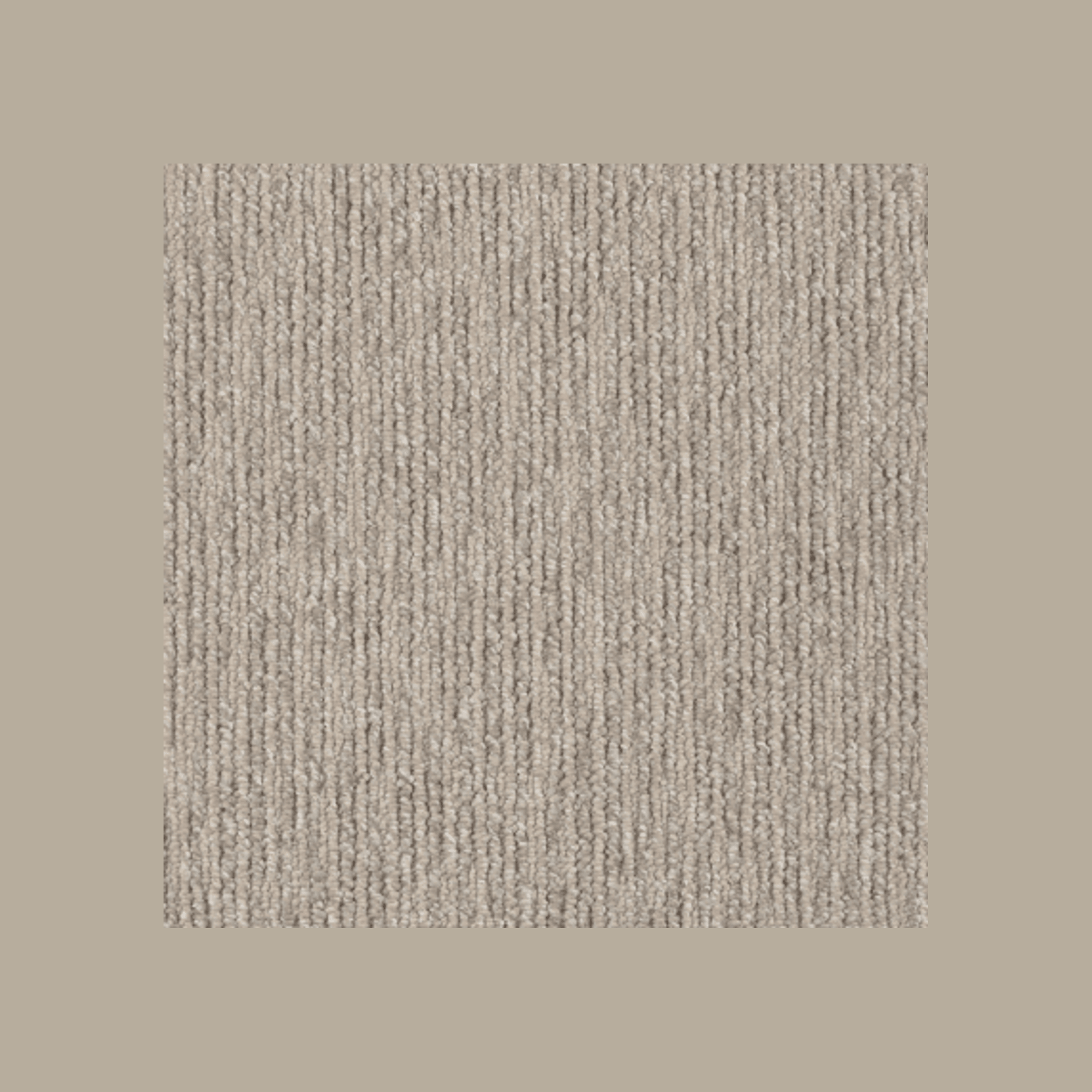 Sandune gallery detail image