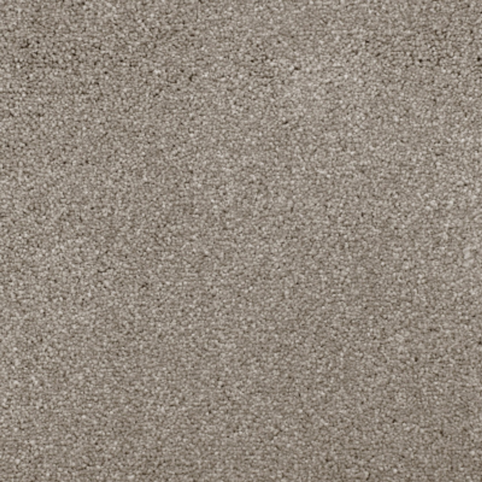 Rocky Plain gallery detail image