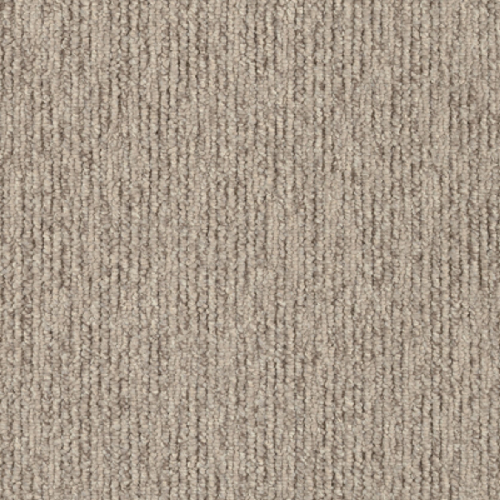 Sandune gallery detail image