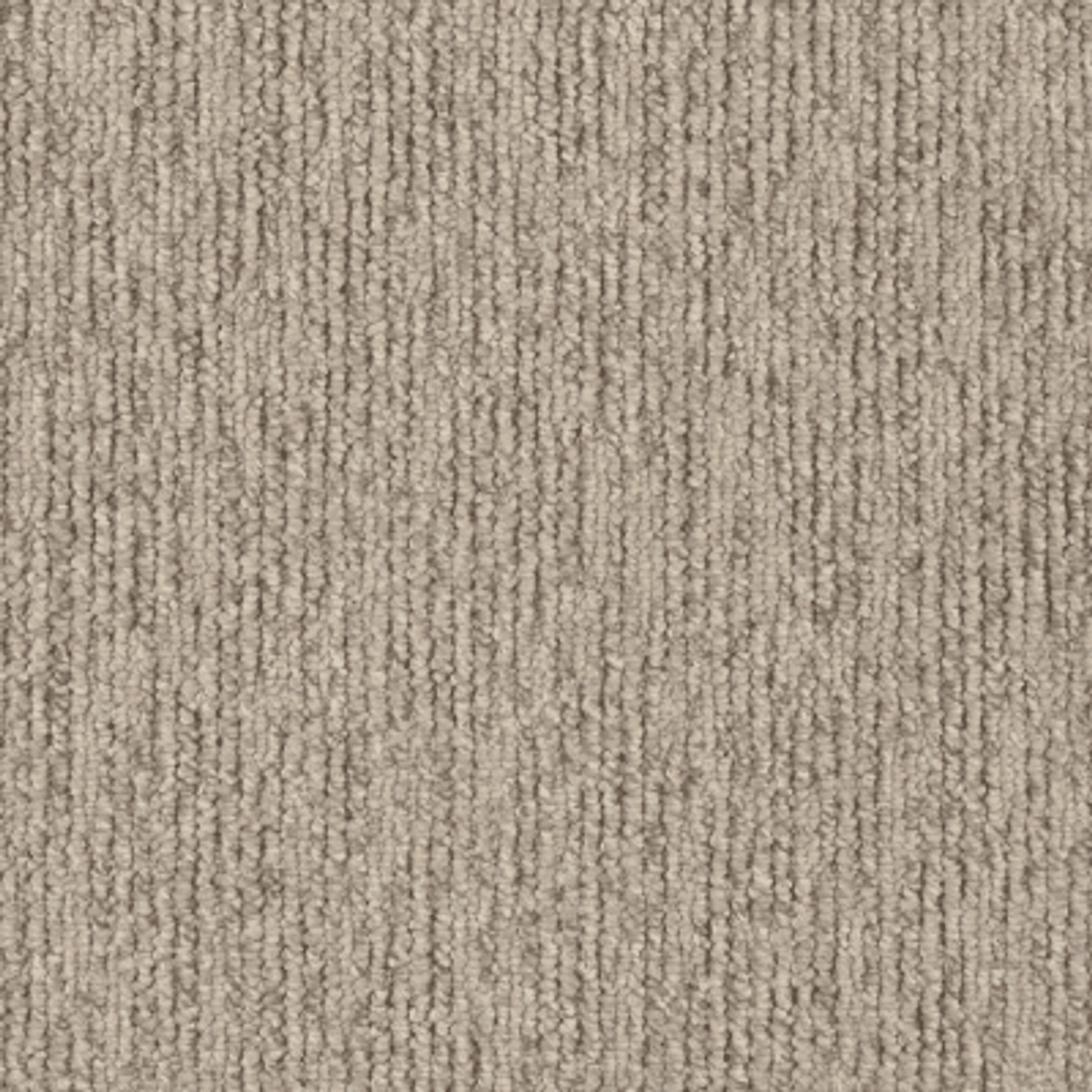Sandune gallery detail image