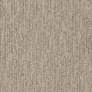 Sandune gallery detail image