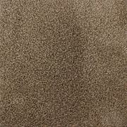 Wild Romance Carpet gallery detail image