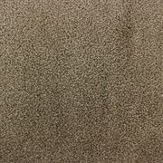 Wild Romance Carpet gallery detail image