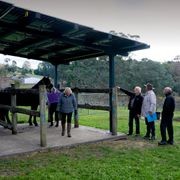 VELA Plus Solar Carport | Double gallery detail image