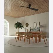 AE2+ 2-Blade Designer Indoor Ceiling Fan gallery detail image