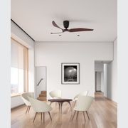 FR 50" Ceiling Fan gallery detail image