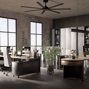 Alula 80" Ceiling Fan gallery detail image