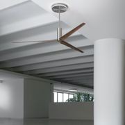 ARC Ceiling Fan by CEA gallery detail image