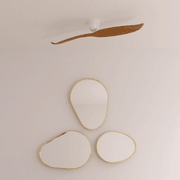 AE2+ 2-Blade Designer Indoor Ceiling Fan gallery detail image