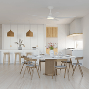 Storm 5-Blade Indoor/Outdoor Ceiling Fan gallery detail image