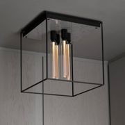Caged Ceiling Light 4.0 gallery detail image