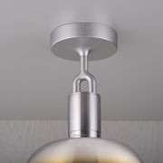 Shade Forked Globe Ceiling Light | Smoked gallery detail image