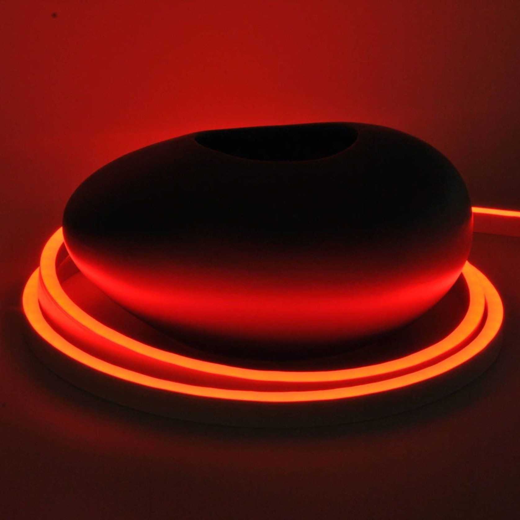 Python gallery detail image